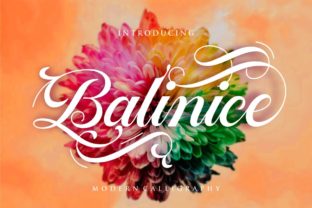 Balinice: Elevating Design with Bold Calligraphy
