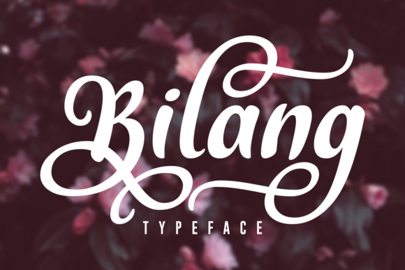 Bilang: A Bold Script Font for Modern Design