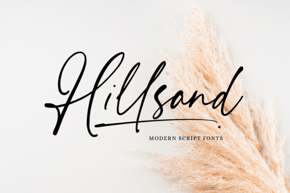 Hillsand: Crafting Authentic Brand Signatures with Elegant Script Typography
