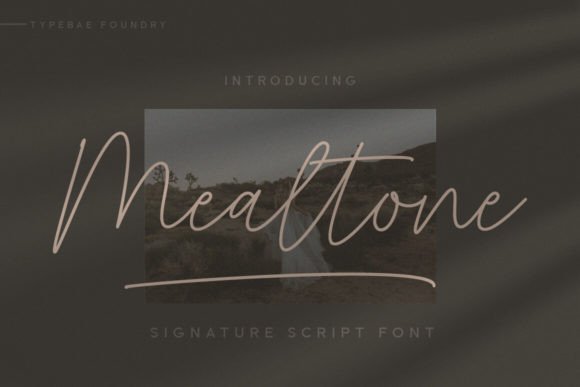 Mealtone: Elevate Your Designs with Authentic Script Typography