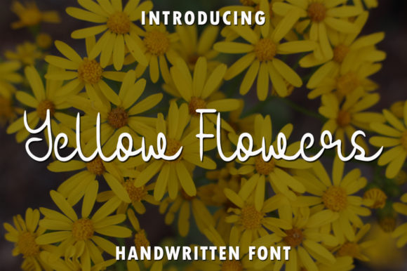 Yellow Flowers: Elevate Your Design with Elegant Script